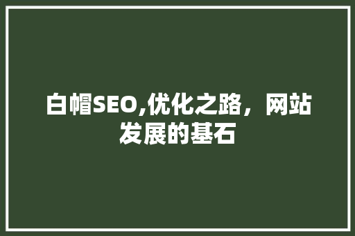 白帽SEO,优化之路，网站发展的基石 网站建设公司