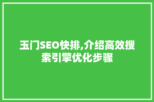 玉门SEO快排,介绍高效搜索引擎优化步骤 网站建设公司