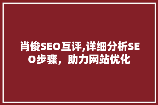 肖俊SEO互评,详细分析SEO步骤，助力网站优化 SEO关键词