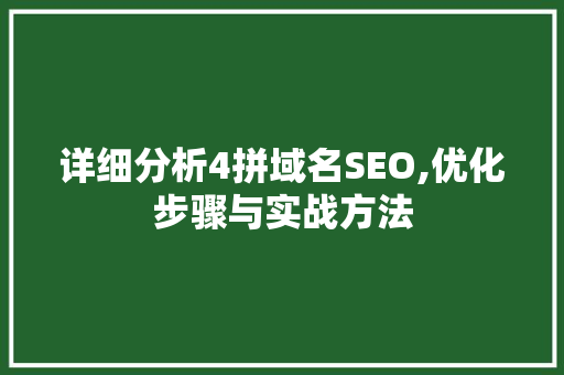 详细分析4拼域名SEO,优化步骤与实战方法 网站建设公司