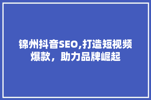 锦州抖音SEO,打造短视频爆款，助力品牌崛起 百度SEO