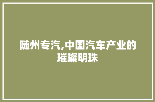 随州专汽,中国汽车产业的璀璨明珠 网站建设公司