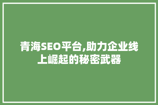 青海SEO平台,助力企业线上崛起的秘密武器 SEO关键词