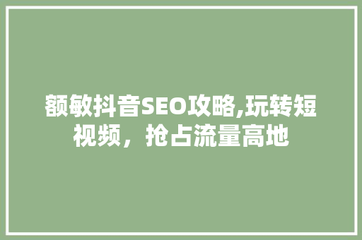 额敏抖音SEO攻略,玩转短视频，抢占流量高地