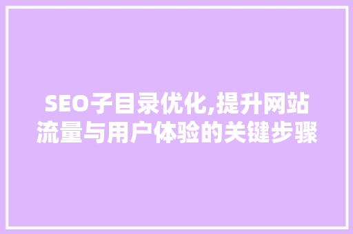 SEO子目录优化,提升网站流量与用户体验的关键步骤