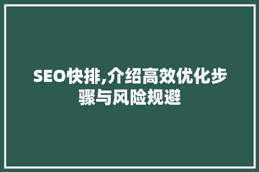 SEO快排,介绍高效优化步骤与风险规避 神马SEO