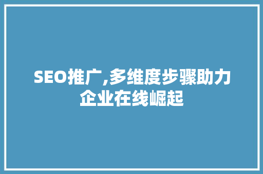 SEO推广,多维度步骤助力企业在线崛起 网站建设公司