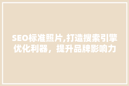 SEO标准照片,打造搜索引擎优化利器，提升品牌影响力 必应SEO