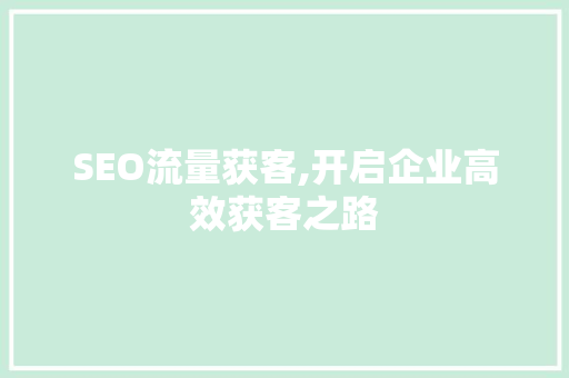 SEO流量获客,开启企业高效获客之路 神马SEO