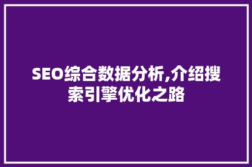SEO综合数据分析,介绍搜索引擎优化之路