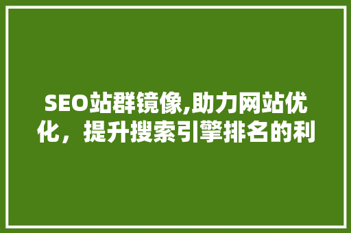 SEO站群镜像,助力网站优化，提升搜索引擎排名的利器 SEO关键词