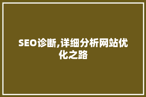 SEO诊断,详细分析网站优化之路 网站建设公司