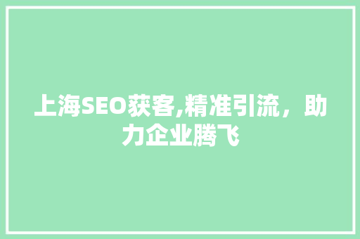 上海SEO获客,精准引流，助力企业腾飞 网站建设公司