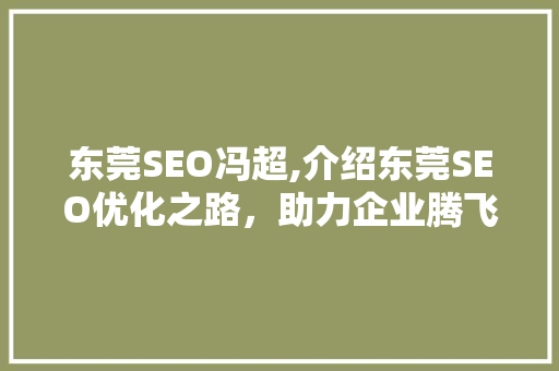东莞SEO冯超,介绍东莞SEO优化之路，助力企业腾飞 搜狗SEO