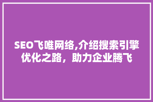 SEO飞唯网络,介绍搜索引擎优化之路，助力企业腾飞