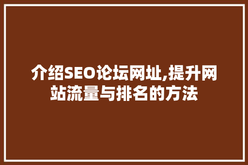 介绍SEO论坛网址,提升网站流量与排名的方法 神马SEO