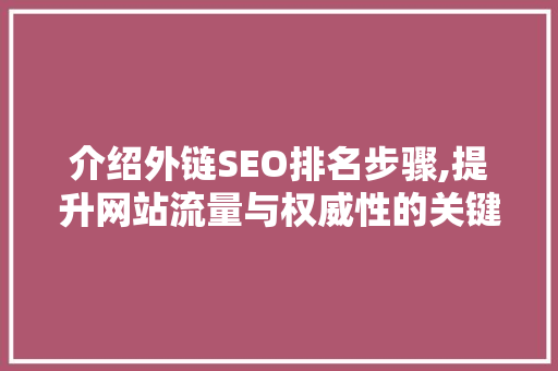 介绍外链SEO排名步骤,提升网站流量与权威性的关键路径 必应SEO