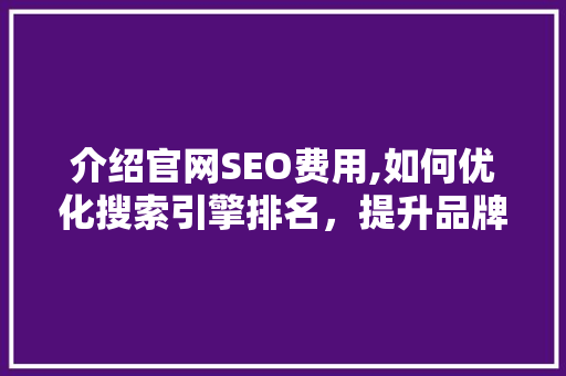 介绍官网SEO费用,如何优化搜索引擎排名，提升品牌知名度 必应SEO