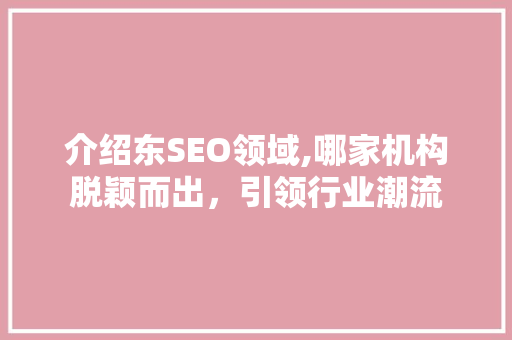介绍东SEO领域,哪家机构脱颖而出，引领行业潮流 搜狗SEO