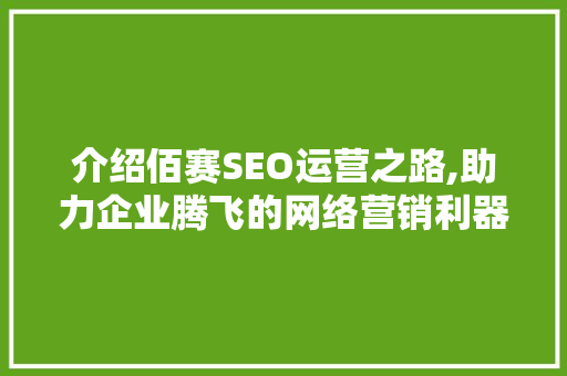 介绍佰赛SEO运营之路,助力企业腾飞的网络营销利器 百度SEO