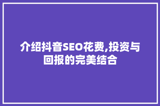 介绍抖音SEO花费,投资与回报的完美结合 神马SEO