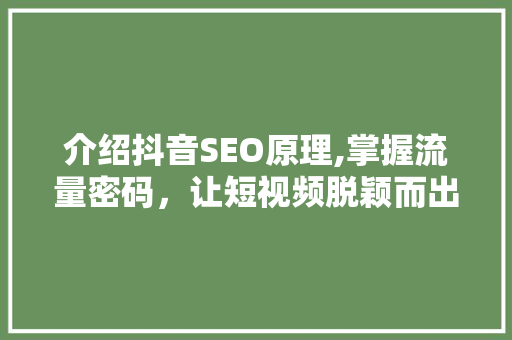 介绍抖音SEO原理,掌握流量密码，让短视频脱颖而出 百度SEO