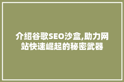 介绍谷歌SEO沙盒,助力网站快速崛起的秘密武器 网站建设公司