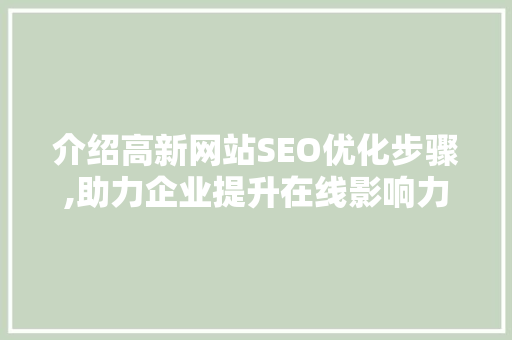介绍高新网站SEO优化步骤,助力企业提升在线影响力