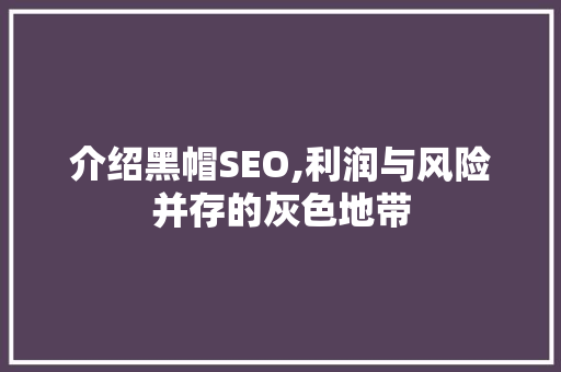 介绍黑帽SEO,利润与风险并存的灰色地带 百度SEO