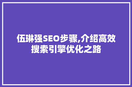 伍琳强SEO步骤,介绍高效搜索引擎优化之路 SEO关键词