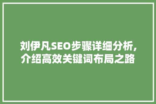 刘伊凡SEO步骤详细分析,介绍高效关键词布局之路 百度SEO