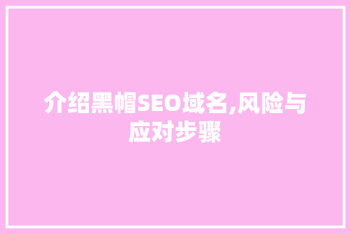 介绍黑帽SEO域名,风险与应对步骤 百度SEO