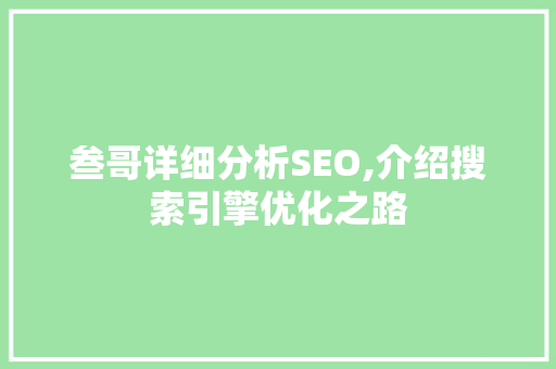 叁哥详细分析SEO,介绍搜索引擎优化之路 网站建设公司