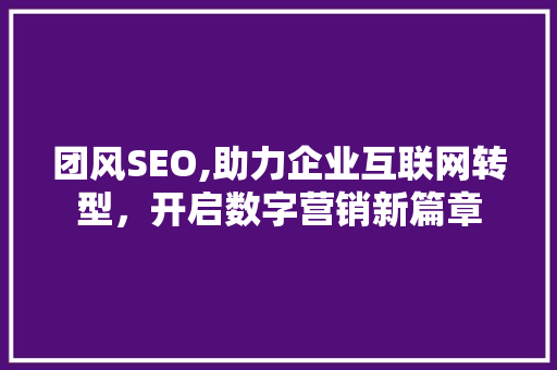 团风SEO,助力企业互联网转型，开启数字营销新篇章 SEO关键词