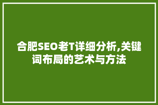 合肥SEO老T详细分析,关键词布局的艺术与方法 网站建设公司