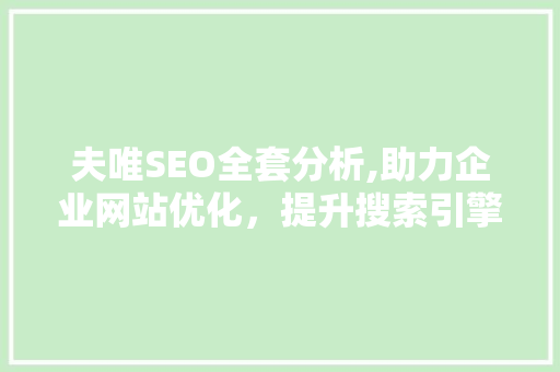 夫唯SEO全套分析,助力企业网站优化，提升搜索引擎排名 必应SEO