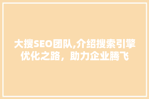 大搜SEO团队,介绍搜索引擎优化之路，助力企业腾飞