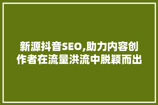 新源抖音SEO,助力内容创作者在流量洪流中脱颖而出 搜狗SEO