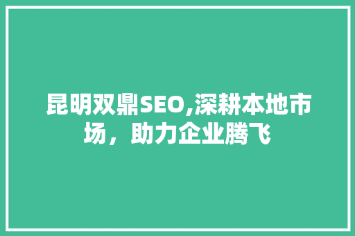 昆明双鼎SEO,深耕本地市场，助力企业腾飞 神马SEO