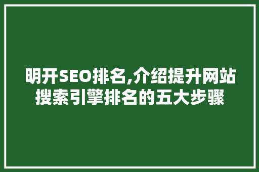明开SEO排名,介绍提升网站搜索引擎排名的五大步骤 神马SEO