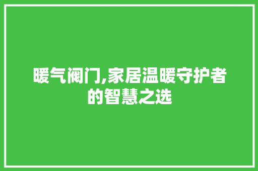 暖气阀门,家居温暖守护者的智慧之选