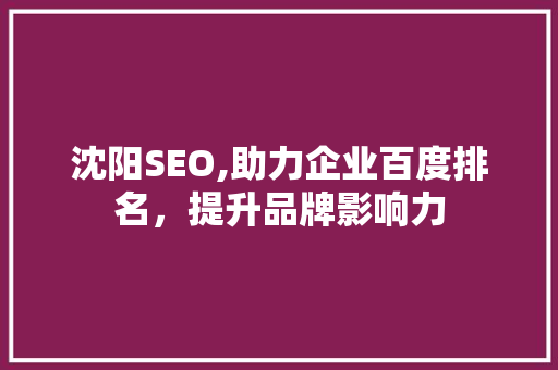 沈阳SEO,助力企业百度排名，提升品牌影响力 网站建设公司