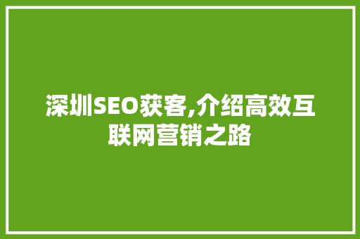 深圳SEO获客,介绍高效互联网营销之路 SEO关键词