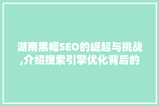 湖南黑帽SEO的崛起与挑战,介绍搜索引擎优化背后的秘密 百度SEO