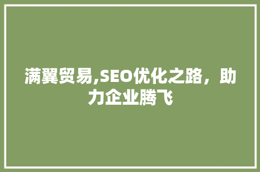 满翼贸易,SEO优化之路，助力企业腾飞 必应SEO