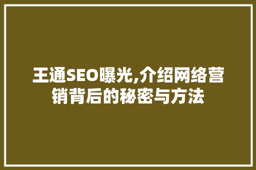 王通SEO曝光,介绍网络营销背后的秘密与方法