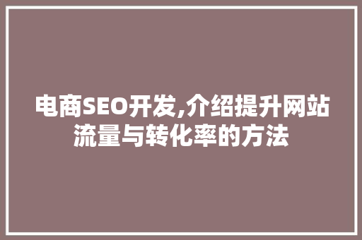 电商SEO开发,介绍提升网站流量与转化率的方法 搜狗SEO