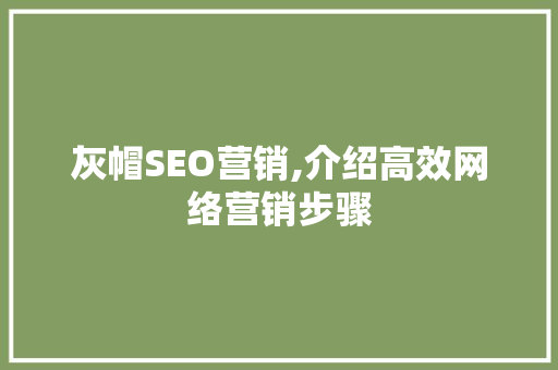 灰帽SEO营销,介绍高效网络营销步骤 神马SEO