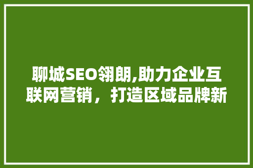 聊城SEO翎朗,助力企业互联网营销，打造区域品牌新高度 搜狗SEO