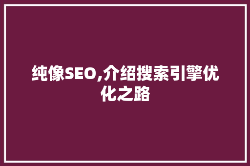 纯像SEO,介绍搜索引擎优化之路 必应SEO
